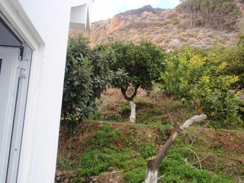 Apartamento Antouan Matina