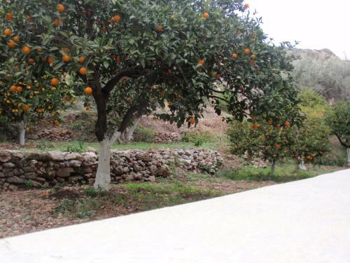 Apartamento Antouan Matina