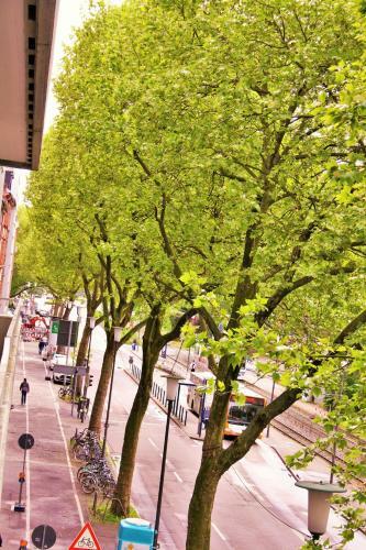 Apartment Am R�merkreis