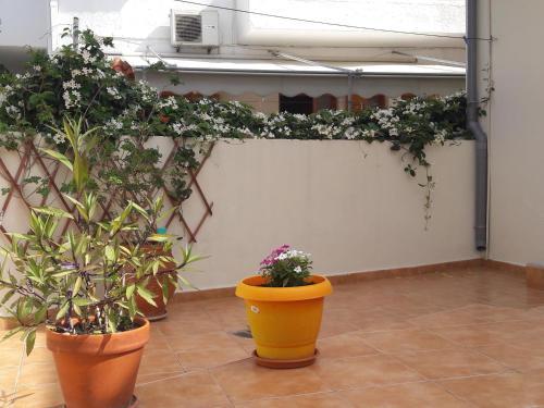 Apartamento Maria Apts