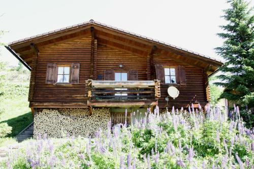 Ferienhaus Blommen
