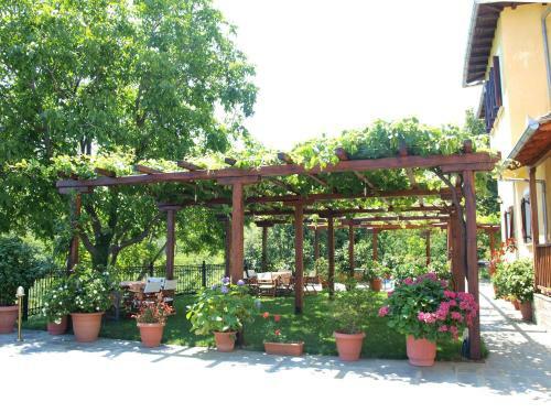 Hostal Olga Studios