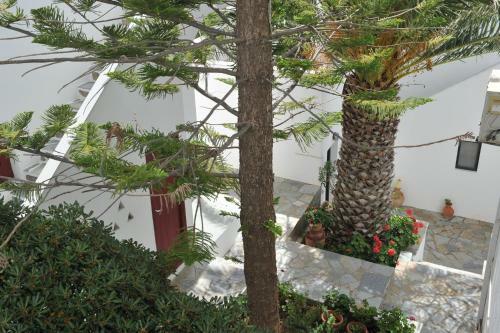 Rallis Apartments