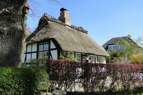 Ferienhaus Rikate
