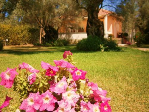 Villa Hector