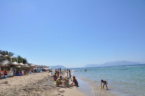 Alexander Seaside