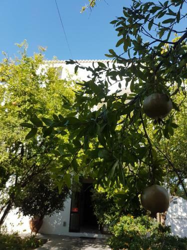 Apartamento Thalassa Studios