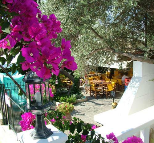 Apartamento Villa Dolphins