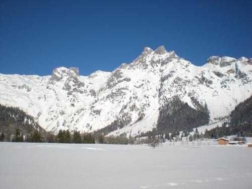 Apartamento Rosi
