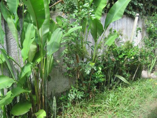 Casa Hibisco Taipe