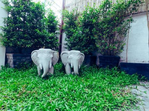 Adventure Hostel Siem Reap