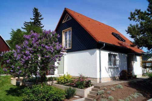 Apartamento Ferienwohnung Wandt-tippmann
