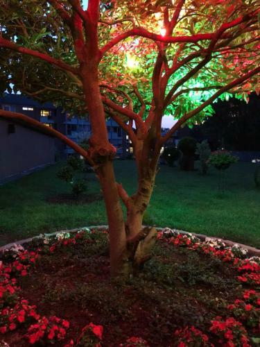 Hotel Europ�ischer Hof