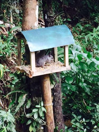 Hostal Gato De Botas
