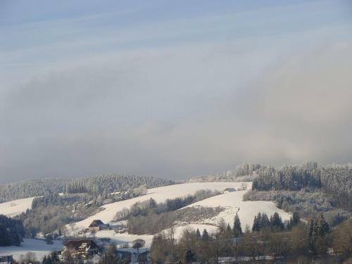 Apartamento Blackforest Ferienwohnung