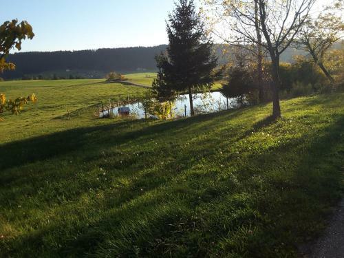 Apartamento Ferienhof Kienbronnerhof