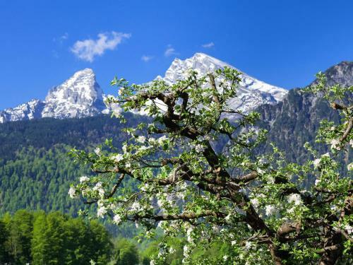 Agroturismo Triembachhof