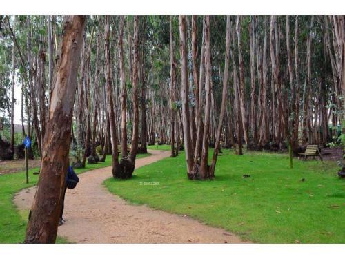 Apartamento Espectacular Depto En Algarrobo