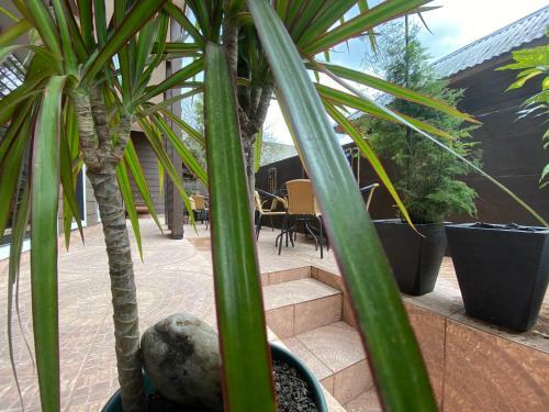 Bed & Breakfast Hostal Umantun