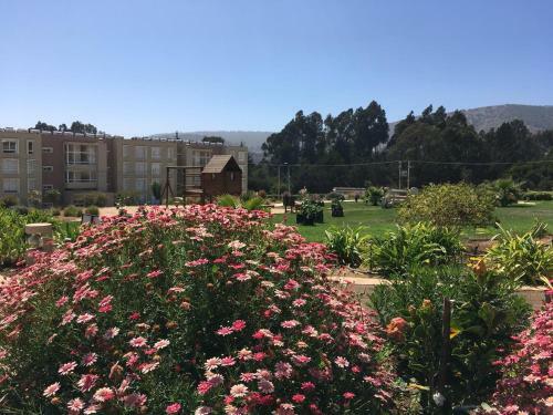 Apartamento Departamento Lomas De Papudo I