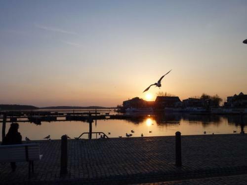 Apartment Yachthafen Waren