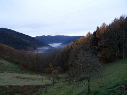 Apartamento Berghansenhof