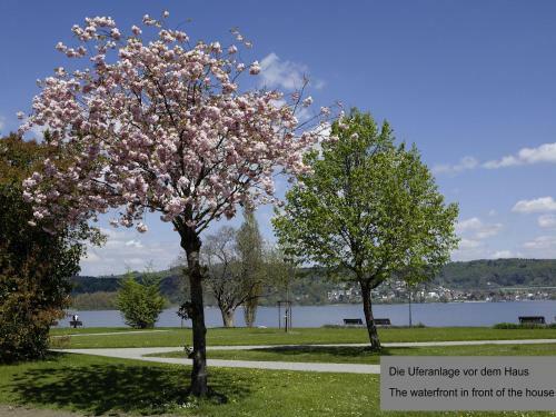 Apartamento Ferienwohnung Seeblick Am Bodensee