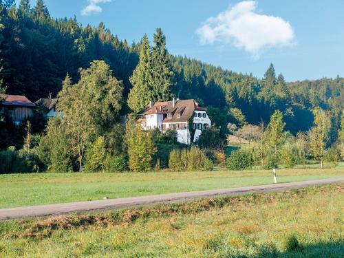 Hostal Landgasthaus Zum Engel