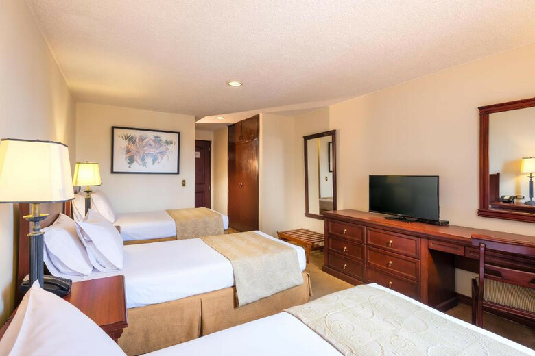 Hotel Dann Avenida 19