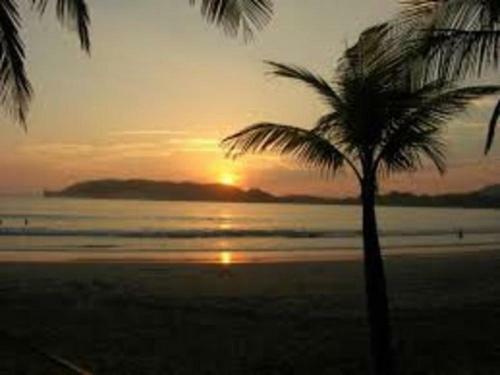 Bed & Breakfast La Jungla