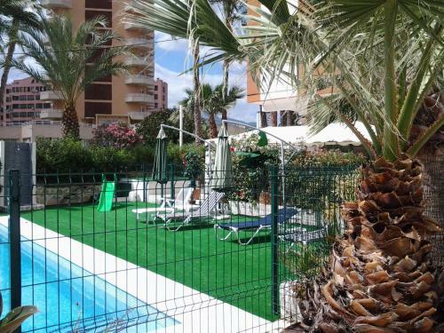 Apartamentos Oca�a