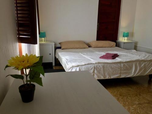 Bed & Breakfast Finca Bella Vista