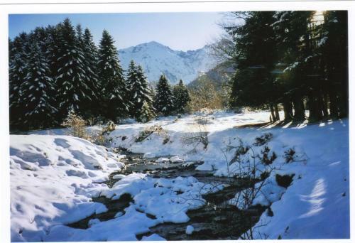 �chalet Chemin De Trassouet