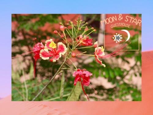 Hotel Moon And Star Guesthouse