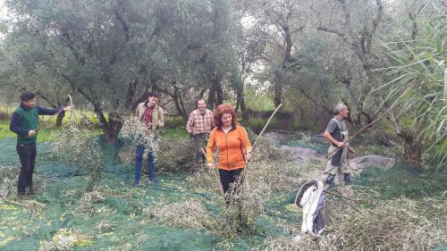 Agroturismo Villa Antonio