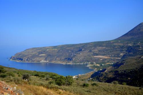 Hostal Olea