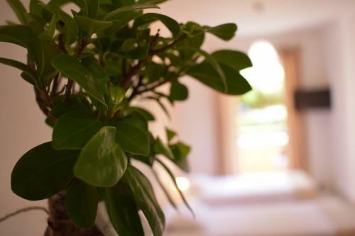 Apartamento Ariadni Click & Flat Perivolia