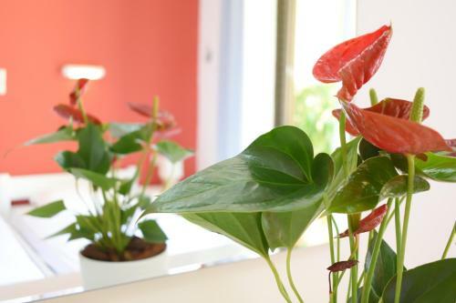 Apartamento Ariadni Click & Flat Perivolia
