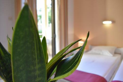 Apartamento Ariadni Click & Flat Perivolia
