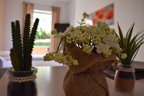 Apartamento Ariadni Click & Flat Perivolia