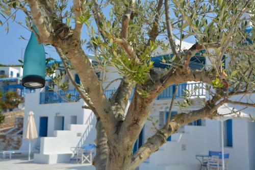 White Blue Houses & Apartments Paros