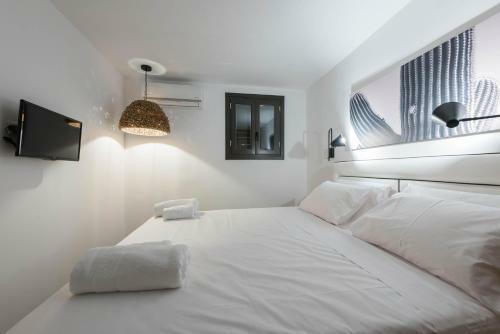 Apartamento Black Cactus