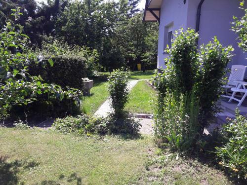 Hostal Avar Vend�gh�z
