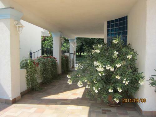 Hostal Csigah�z Panzi�