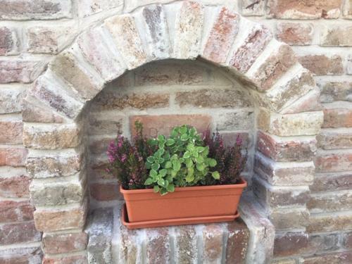 Hostal Csigah�z Panzi�