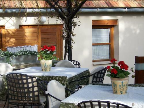 Hotel K�li Art Inn