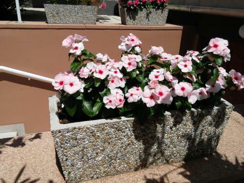 Hostal Green Guesthouse Balatonf�red