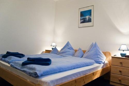 Hostal Adler Panzio