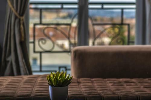 Apartamento Erla Villa