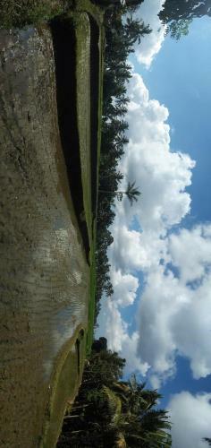 Ijen Crater Guesthouse